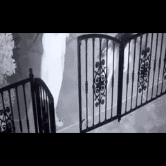 Clip: Tưởng sợi dây rơi trên sân, người phụ nữ chạy vội khi phát hiện sự thật