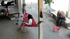 Video: Rắn hổ mang bò dưới chân, 3 ông cháu hoảng sợ bỏ chạy