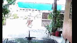 Video: Bị rắn hổ mang rượt đuổi, người đàn ông hoảng sợ phóng xe máy bỏ chạy