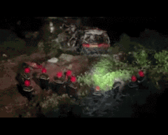 Video: Lực lượng cứu hộ xuyên đêm cứu hàng chục người mắc kẹt trong xe khách lao xuống vực ở cao tốc La Sơn- Túy Loan