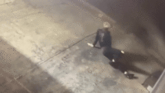 Sốc trước hành động của  "nữ quái " 44 tuổi trước khi  "hành sự " ở Australia