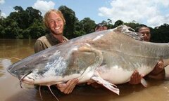 Video:  "Quái thú sông Amazon " nặng 215kg sa lưới cần thủ