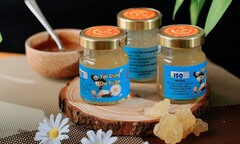 Khởi nghiệp từ nghề nuôi chim yến