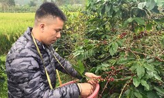 CHUM Cà phê – Thương hiệu tiên phong Cà phê sạch chuẩn quốc tế tại Thái Nguyên