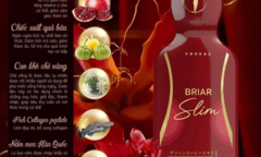 Trình làng siêu phẩm “ Nấm Men Giảm Cân Briar Slim” Điêu khắc body cho phái đẹp 