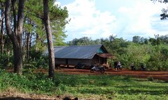 “Tín dụng đen”… len lỏi lên rừng