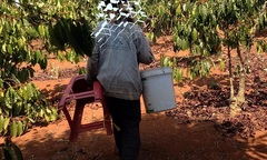 Khánh kiệt vì hai con trai vướng vào “tín dụng đen”