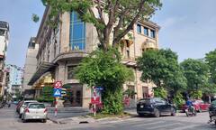 Nhà đầu tư trái phiếu “sốt sình sịch” ngóng cậu cả Tân Hoàng Minh hoàn tiền