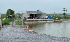 Bắt kẻ giải quyết mâu thuẫn “bằng nắm đấm”