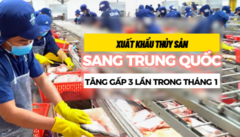 Đầu năm, xuất khẩu thuỷ sản sang Trung Quốc tăng gấp 3 lần  