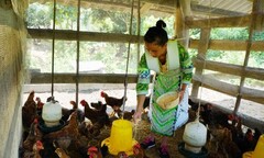 Thái Nguyên: Nỗ lực giảm nghèo, không để ai bị bỏ lại phía sau