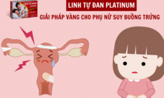 Linh Tự Đan Platinum - Giải pháp vàng cho phụ nữ suy buồng trứng
