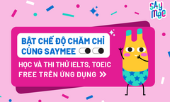 Học IELTS & TOEIC miễn phí trên ứng dụng Saymee