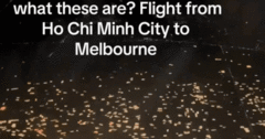 Du khách trên chuyến bay từ Việt Nam ghi lại cảnh tượng  "kỳ thú " khiến dân mạng trầm trồ