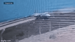 Video: Kinh hoàng khoảnh khắc máy bay Somalia chệch khỏi đường băng, buồng lái gần như đứt lìa