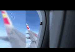 Video: Kỳ lạ con gián bò trên cửa sổ máy bay, ở độ cao 10.000m 