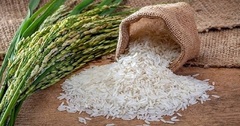 Cổ phiếu công ty gạo bứt phá, tăng giá gần gấp 3 sau tin Ấn Độ cấm xuất khẩu