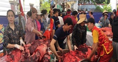 Thịt trâu chọi Đồ Sơn 2023 giá 3,5 triệu/kg, du khách tranh nhau mua