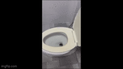 Đi vệ sinh, người phụ nữ tá hỏa phát hiện “bé na” thò đầu lên khỏi toilet