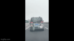 Hài hước 2 chú chó treo lủng lẳng sau xe về quê đón Tết