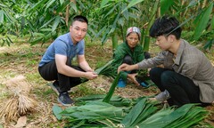 CHÀNG TRAI TRẺ GIÚP DÂN THOÁT NGHÈO VỚI CÂY TRE BÁT ĐỘ