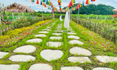 Nhanh chân bắt trend HP Farm địa điểm check-in hot hit mới nổi tại Nghệ An 