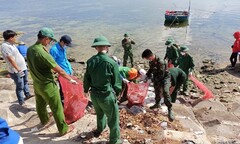 Tái chế rác thải - Hướng đi bền vững vì môi trường