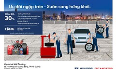 5 lưu ý khi chăm sóc xe mùa xuân: Chăm sóc đúng cách, du xuân an toàn.