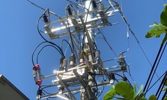 HAENTECO cảnh báo hành vi vi phạm nhãn hiệu Shinsung