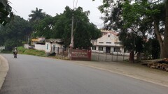 Tân Sơn - Phú Thọ: Cần làm rõ trách nhiệm phun thuốc trừ cỏ cho 10 ha chè