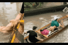 Vỡ òa cảm xúc 2 chú chó được giải cứu trong cơn lũ dữ ở Thừa Thiên-Huế