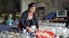 Danh y núi Tản tiết lộ dược lý của nhân sâm giúp người tiểu đường không bị bại liệt