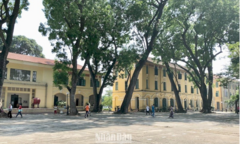 Tuyển sinh vào lớp 10 THPT ở Hà Nội: Mỗi học sinh được đăng ký bao nhiêu trường chuyên?
