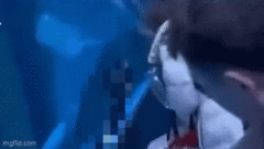 Thợ lặn bất ngờ chết đuối khi đang làm việc trong bể bơi chim cánh cụt