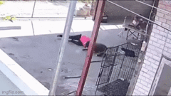 Kinh hoàng chó Pitbull hung hăng tấn công khiến người phụ nữ