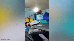 Gia đình hoảng loạn khi được  "bé na " khổng lồ ghé thăm