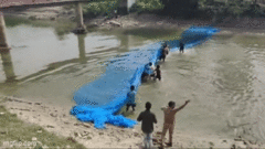 Hú hồn khoảnh khắc giải cứu thành công cá heo mắc cạn  "trong tích tắc "