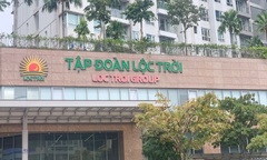 Tập đoàn Lộc Trời giải thích thế nào khi lợi nhuận sau kiểm toán giảm 94%?