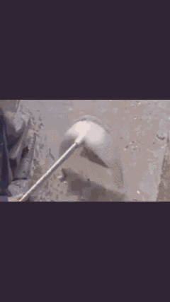 Video: Ngỡ ngàng trước kỹ năng bắt cá bằng tay điêu luyện của người đàn ông