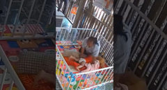 Bà ngoại phản ứng  "nhanh như chớp ", cứu cháu khi bị rắn tấn công
