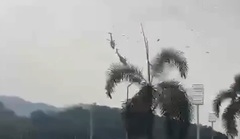 Hai trực thăng Malaysia đâm vào nhau khiến 10 người thiệt mạng