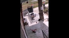 Video: Bé trai bị rắn cực độc tấn công