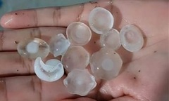 Video: Cận cảnh mưa đá ở Lào Cai, hạt nào hạt nấy đều  "to bự "