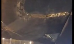 Video: Tài xế taxi thót tim khi chứng kiến con trăn khổng lồ trên kính chắn gió
