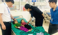 8 người bị ngộ độc sau khi ăn nấm lạ hái tại nương ngô