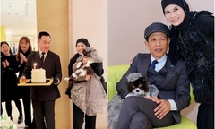Cặp đôi  "gây bão " mạng xã hội vì tổ chức sinh nhật mèo trong cửa hàng LV
