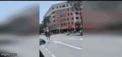 Video: Đà điểu trốn thoát ra ngoài, dạo cửa hàng mua sắm