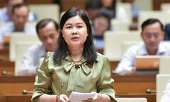 Đại biểu Quốc hội thảo luận, góp ý dự thảo Luật Đường bộ