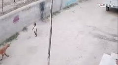 Camera ghi lại cảnh bé trai bị chó dữ lao vào tấn công