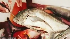 Video: Mổ bụng cá khế vây vàng khổng lồ, ngư dân sốc khi thấy thứ bên trong